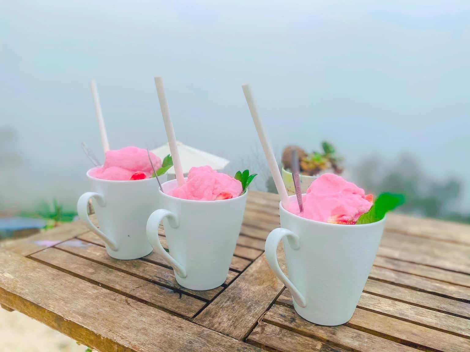 lala land tam dao vinh phuc