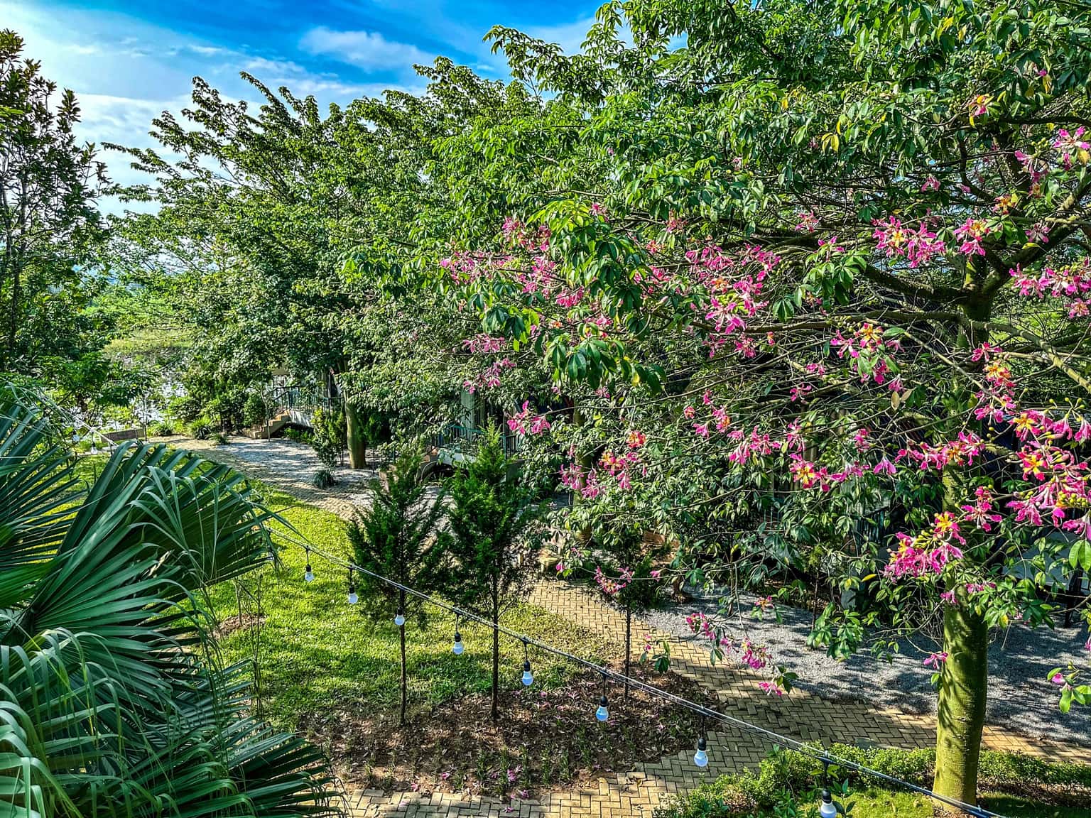 Sen Villas Nguyên Khu tại Vân Hòa, Ba Vì — ảnh 47