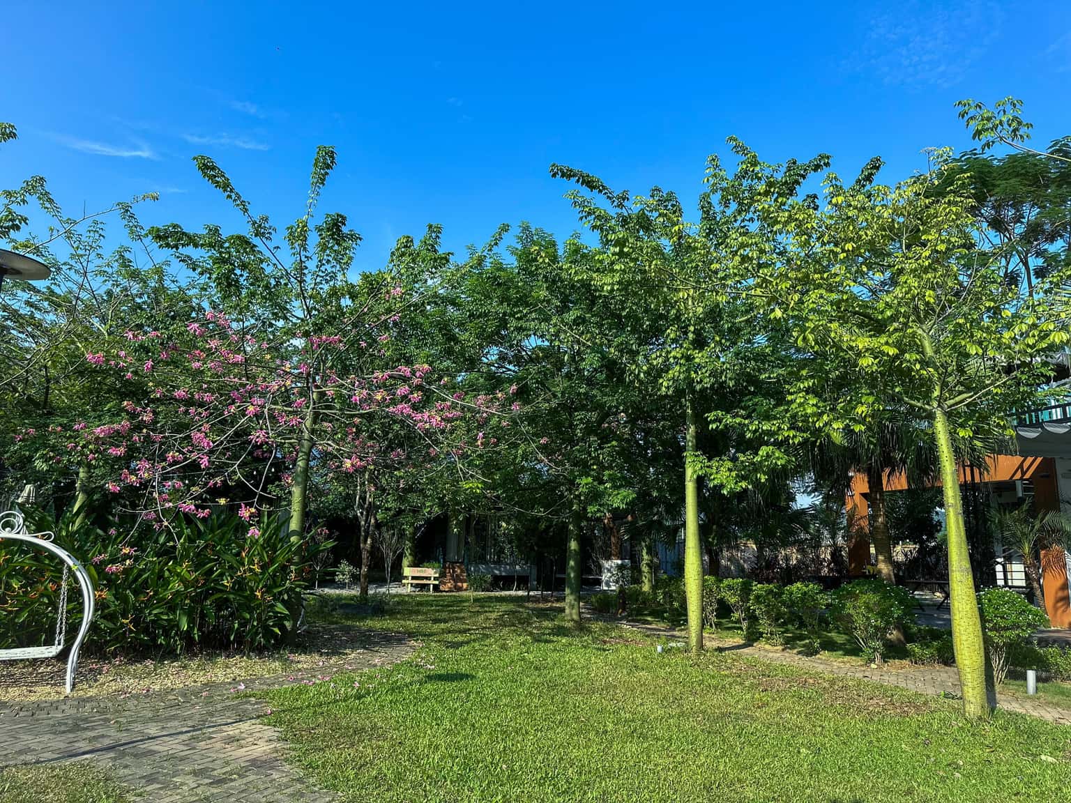 Sen Villas Nguyên Khu tại Vân Hòa, Ba Vì — ảnh 44
