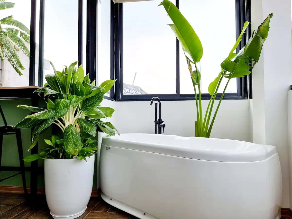Bathtub