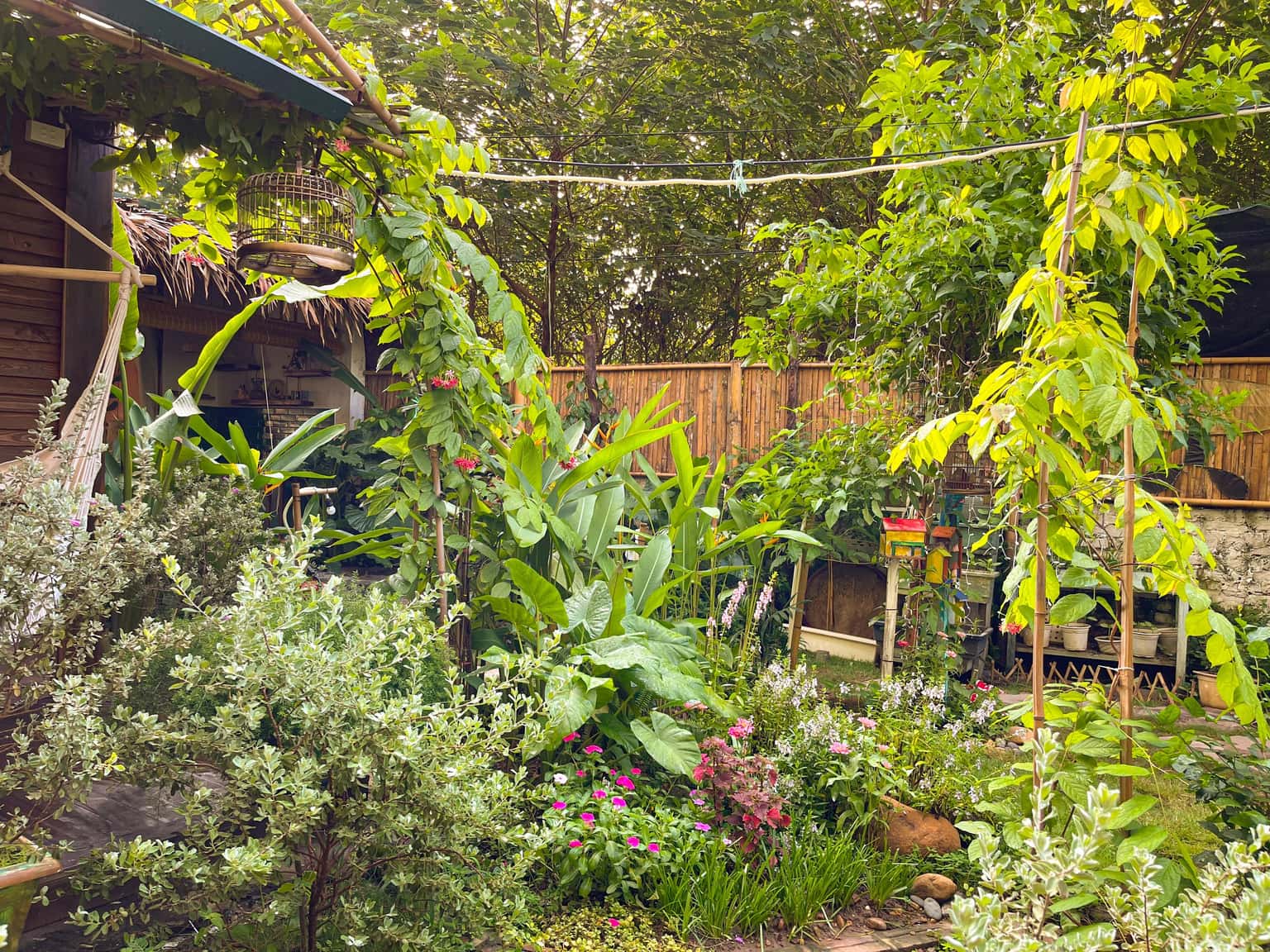 Woodhouse - Lii's Homestay, Tây Hồ — photo 13