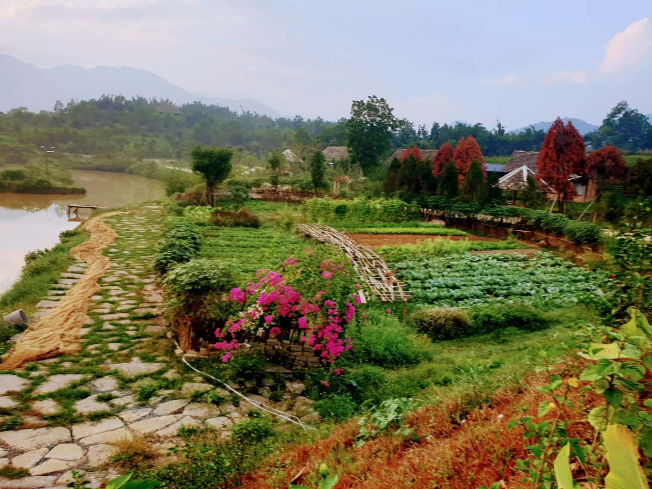 Tham quan nông trại 