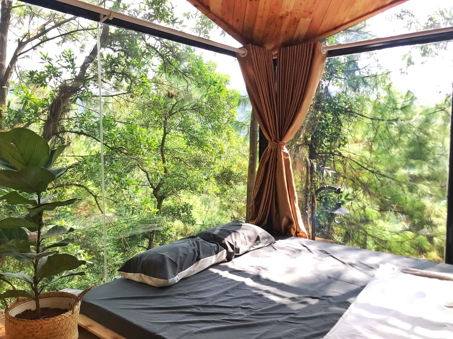 Nhà Gỗ Rừng Thông (De'bay Retreat) tại Lâm Trường, Sóc Sơn — ảnh 21