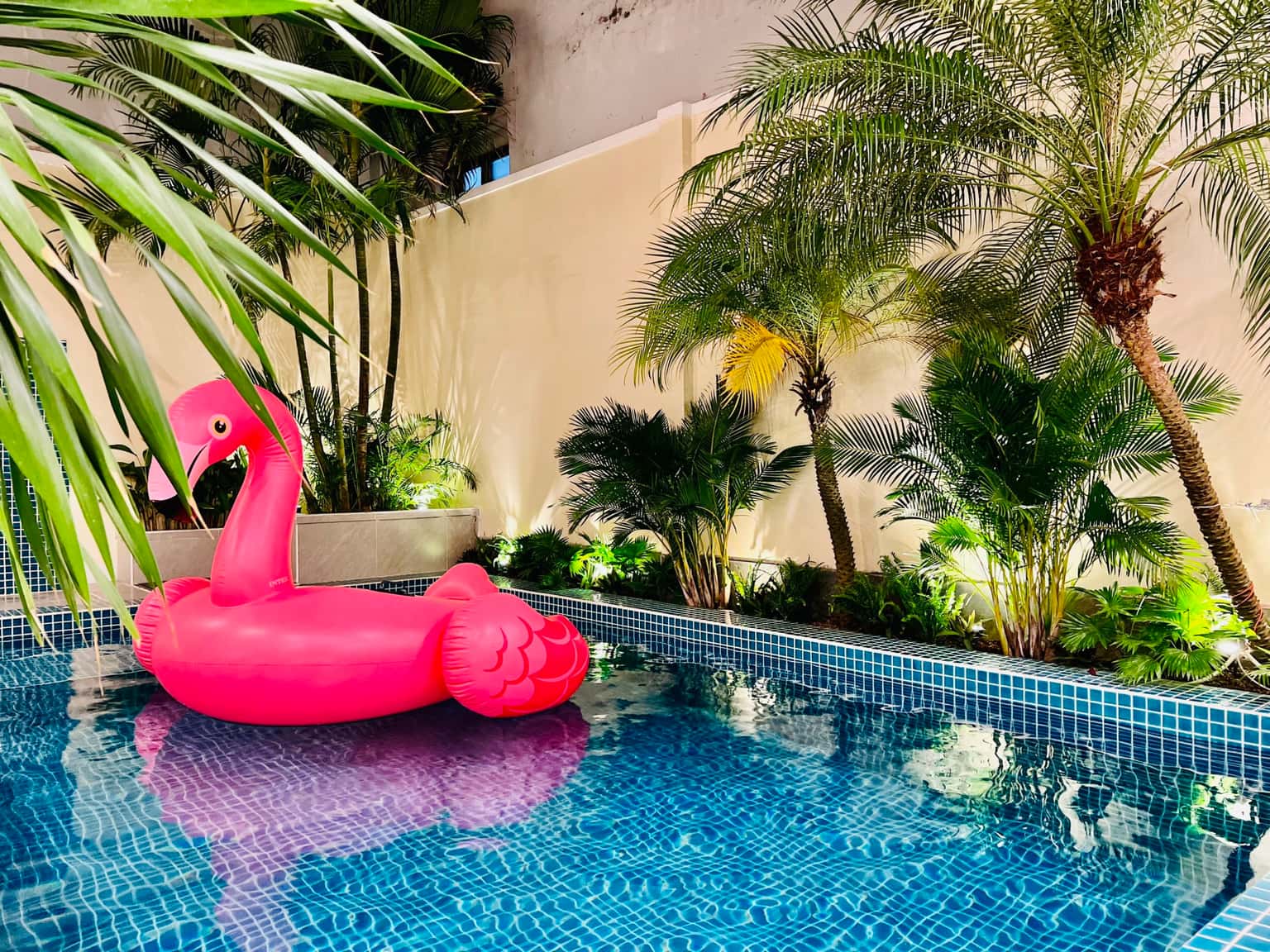 Pham's Villa, số 82/2A Xô Viết Nghệ Tĩnh, Vũng Tàu — ảnh 9