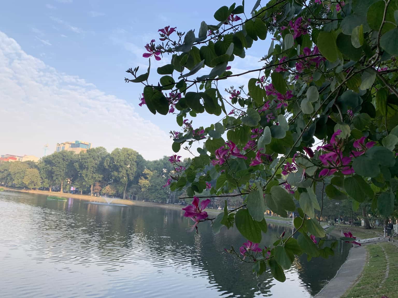 justfly ho thien quang hanoi
