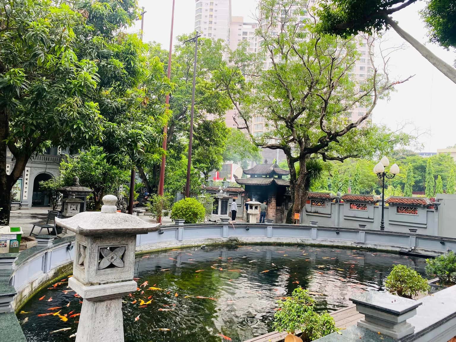 justfly chua ha hanoi