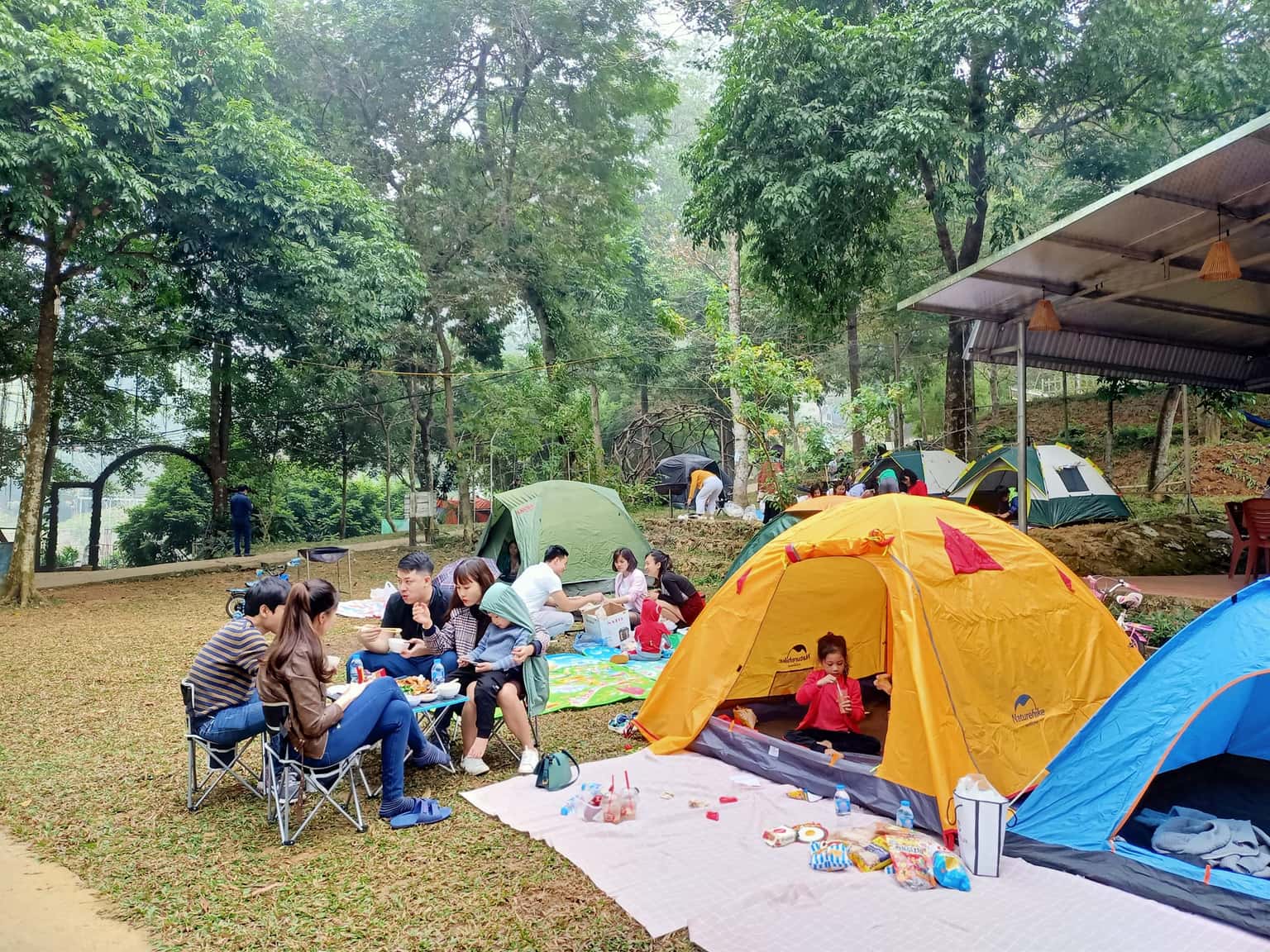 justfly khu cam trai son tinh camp ba vi hanoi