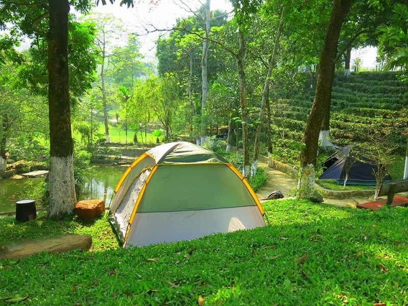 justfly khu cam trai son tinh camp ba vi hanoi