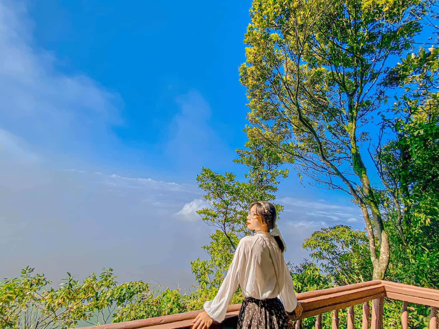 justfly vuon quoc gia ba vi hanoi