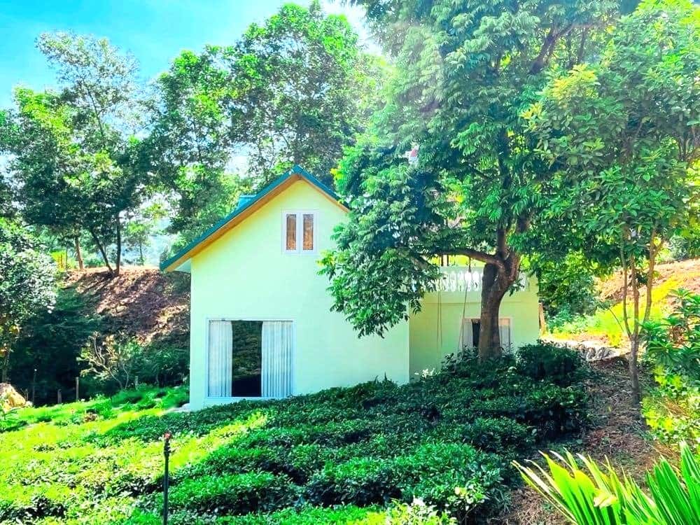 Vẩy Ốc House (Maison in Forest) in Minh Trí, Sóc Sơn — photo 9