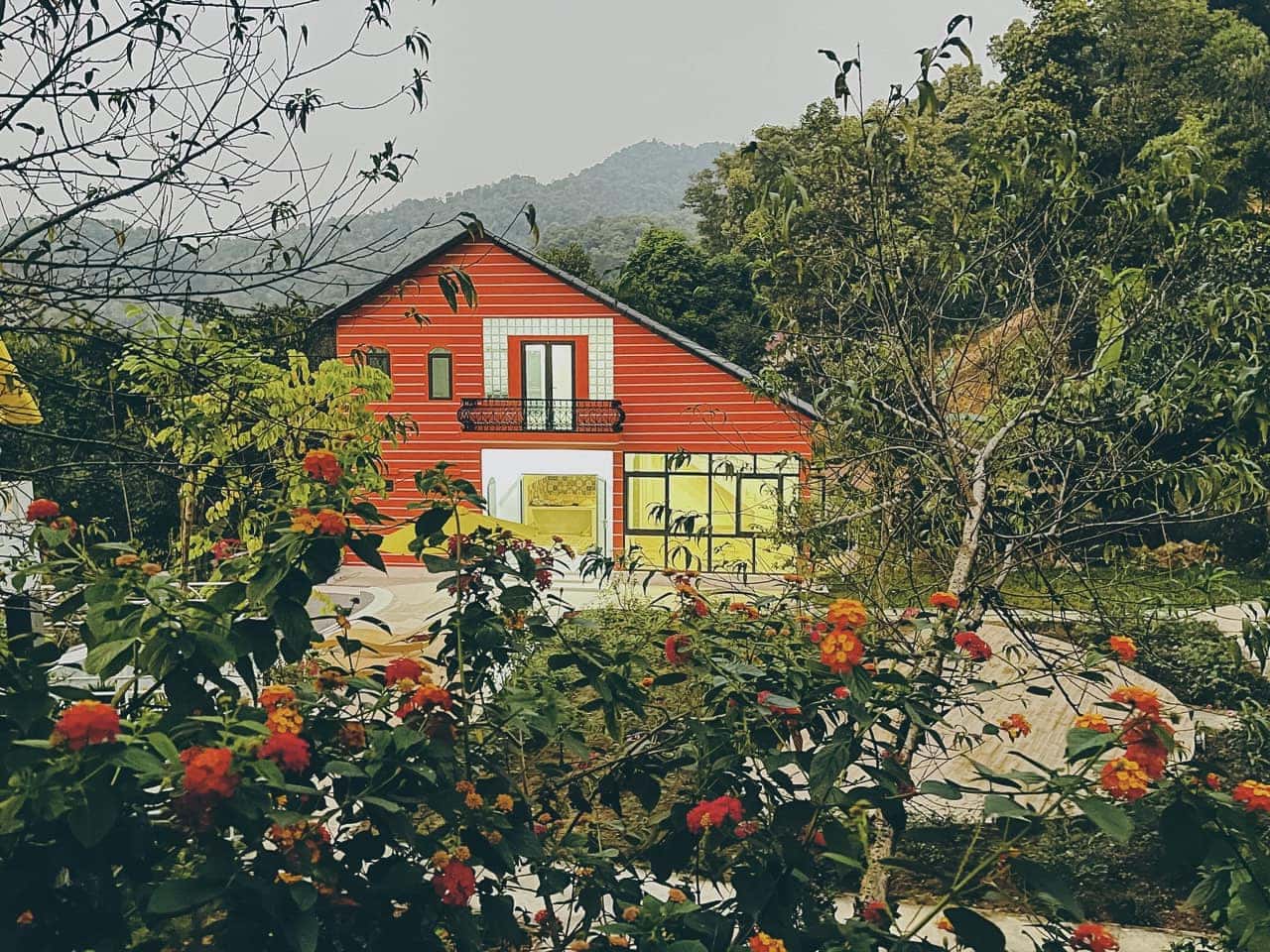 Rose House (Maison in Forest) tại Minh Trí, Sóc Sơn — ảnh 6
