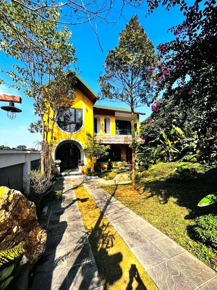 justfly ostrich homestay ba vi 