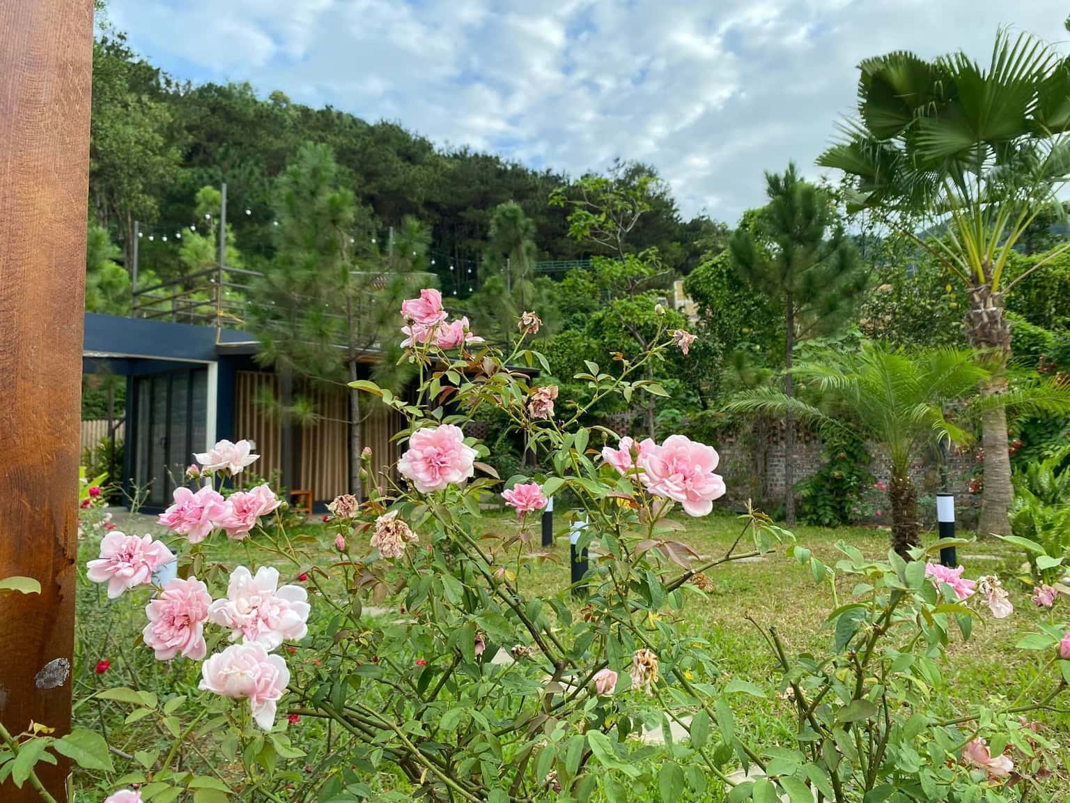 Pomegranate House (Anna Little Garden) in Lâm Trường, Sóc Sơn — photo 30