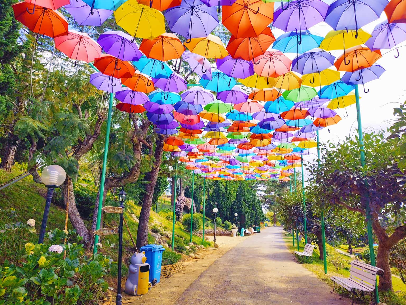 justfly vuon hoa thanh pho da lat