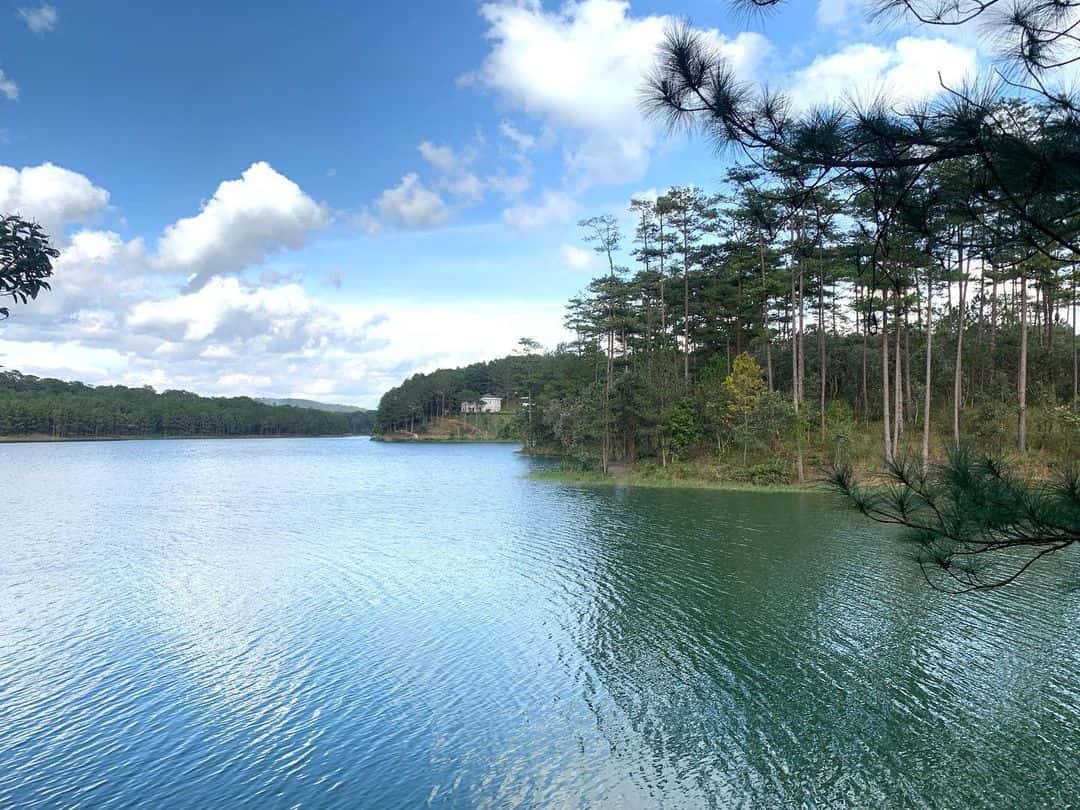 justfly ho tuyen lam da lat 