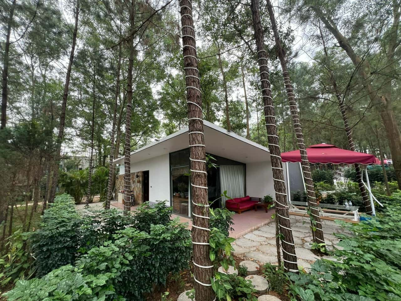Villa R319, Flamingo Đại Lải — photo 8