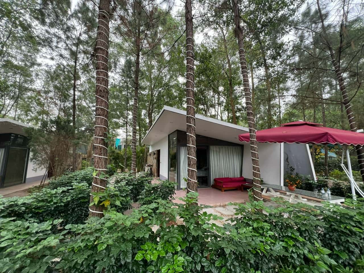 Villa R319, Flamingo Đại Lải — photo 2