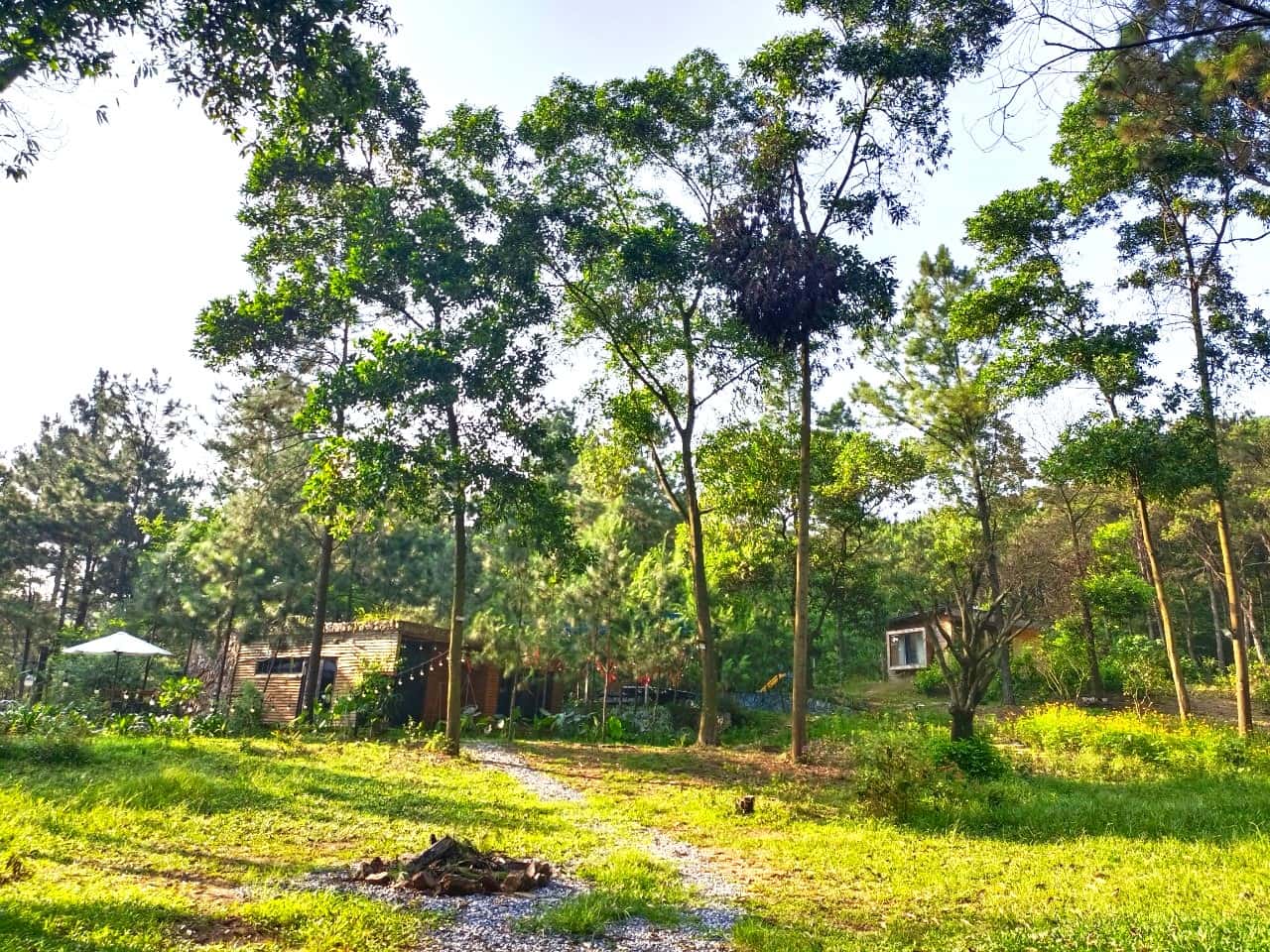 justfly mei homestay soc son