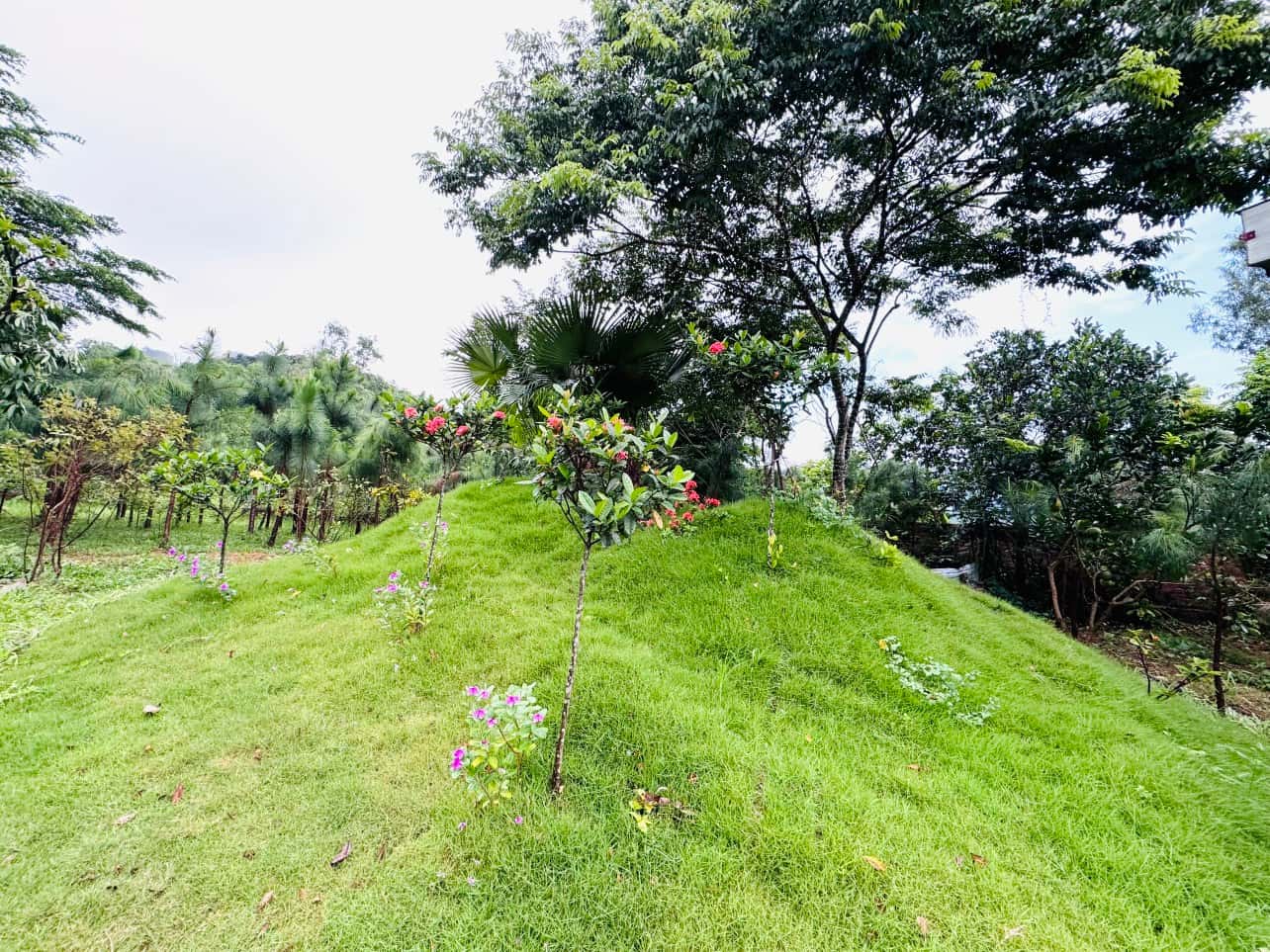 位于 Lâm Trường, Sóc Sơn 的 Palm Villa — 照片 7