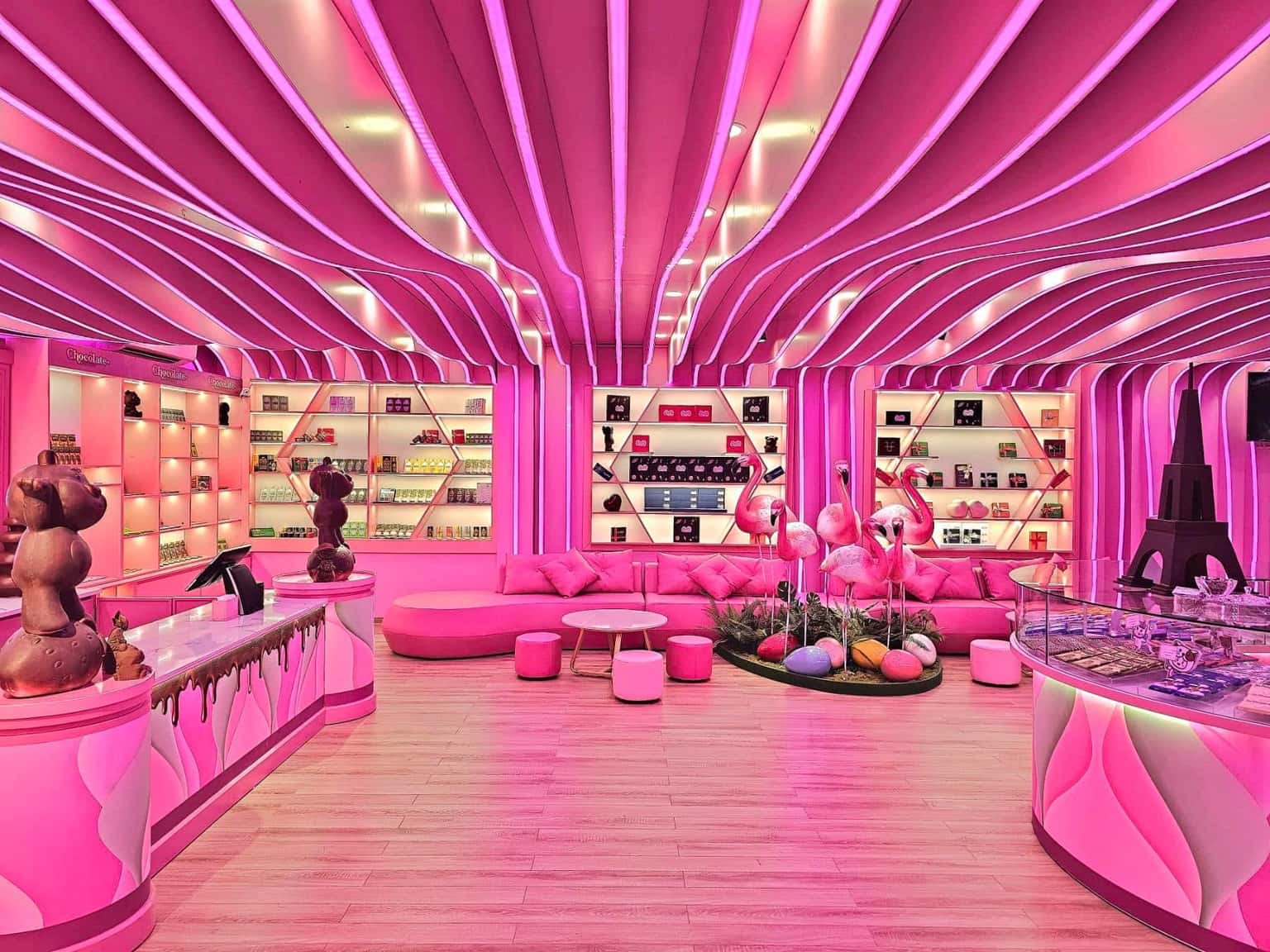 Pink Castle与Flamingo Đại Lải巧克力博物馆 — 照片 5