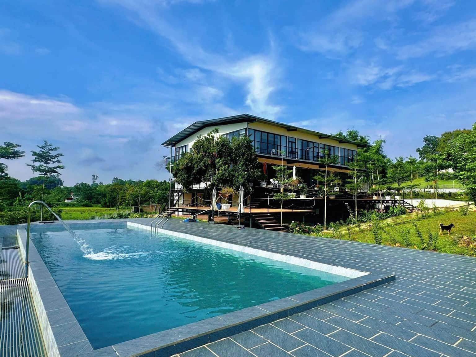 位于Ba Trại, Ba Vì的Mountain Villa