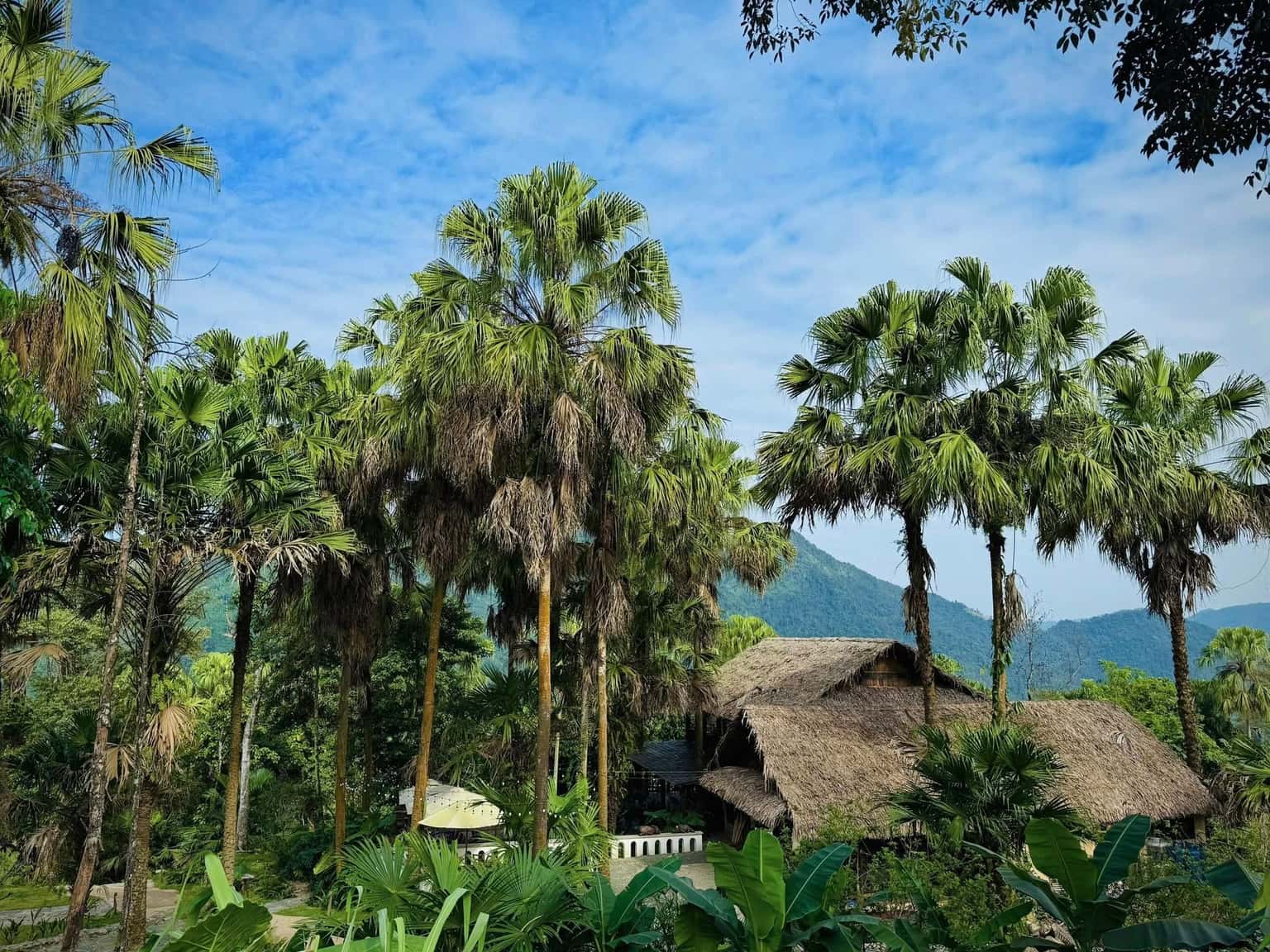 Deluxe Twin Room (Cọ Retreat) tại Đà Bắc, Hòa Bình — ảnh 19