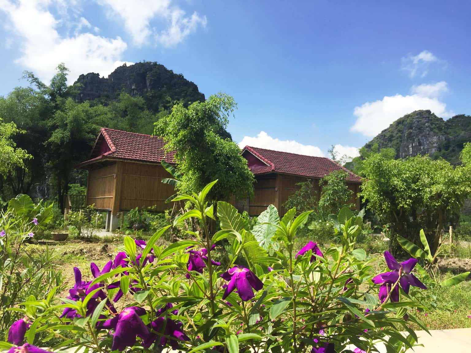justfly ham rong homestay ninh binh