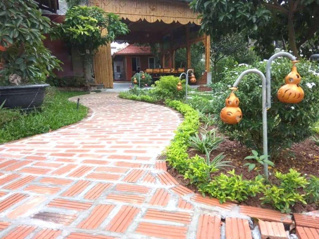 justfly tam coc mr loa homestay ninh binh