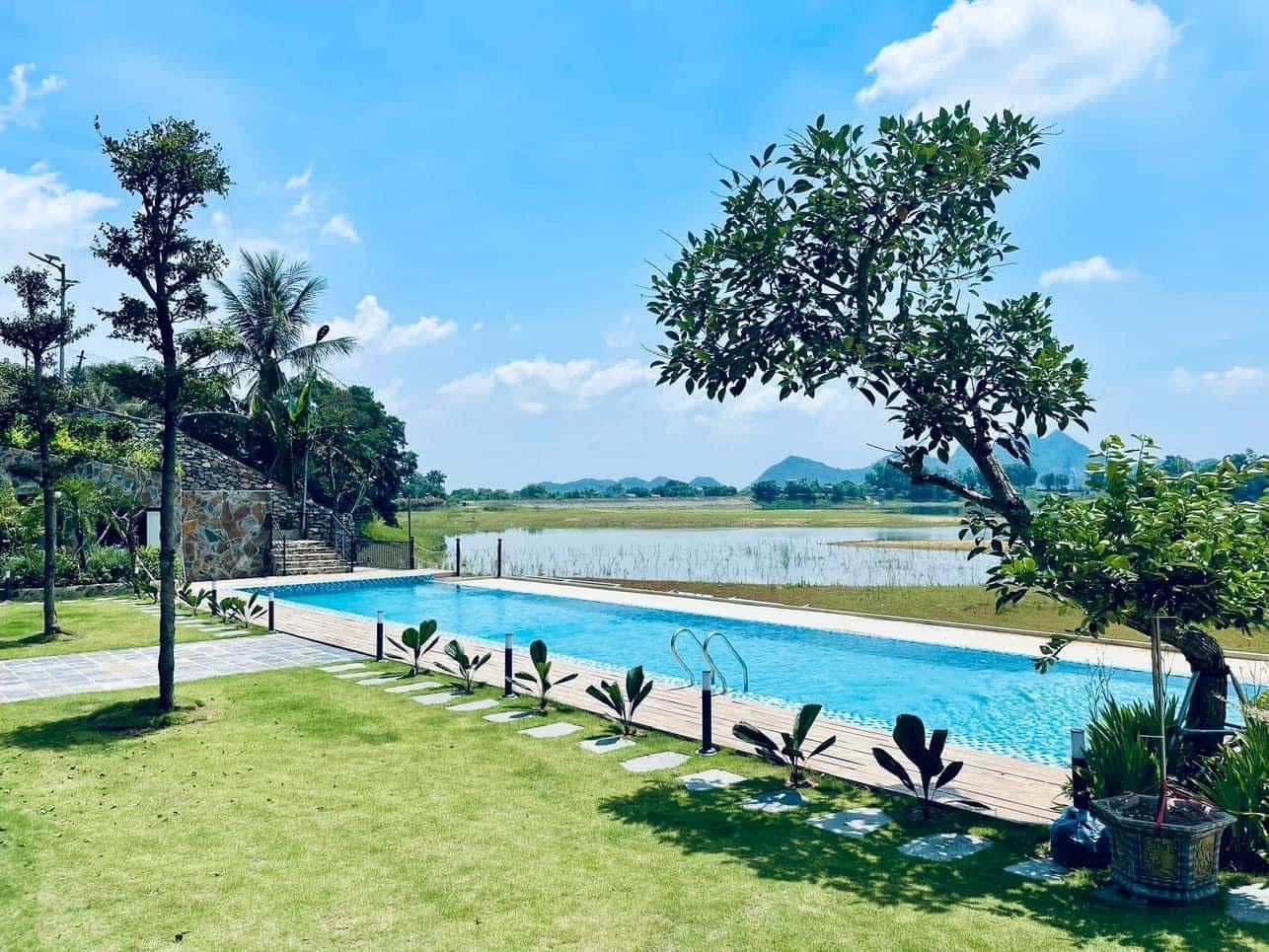 Shared pool 110m2
