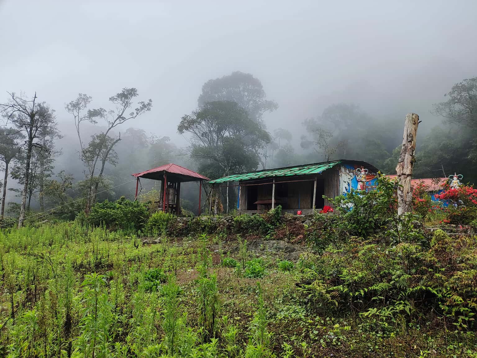 chua dia nguc tam dao vinh phuc