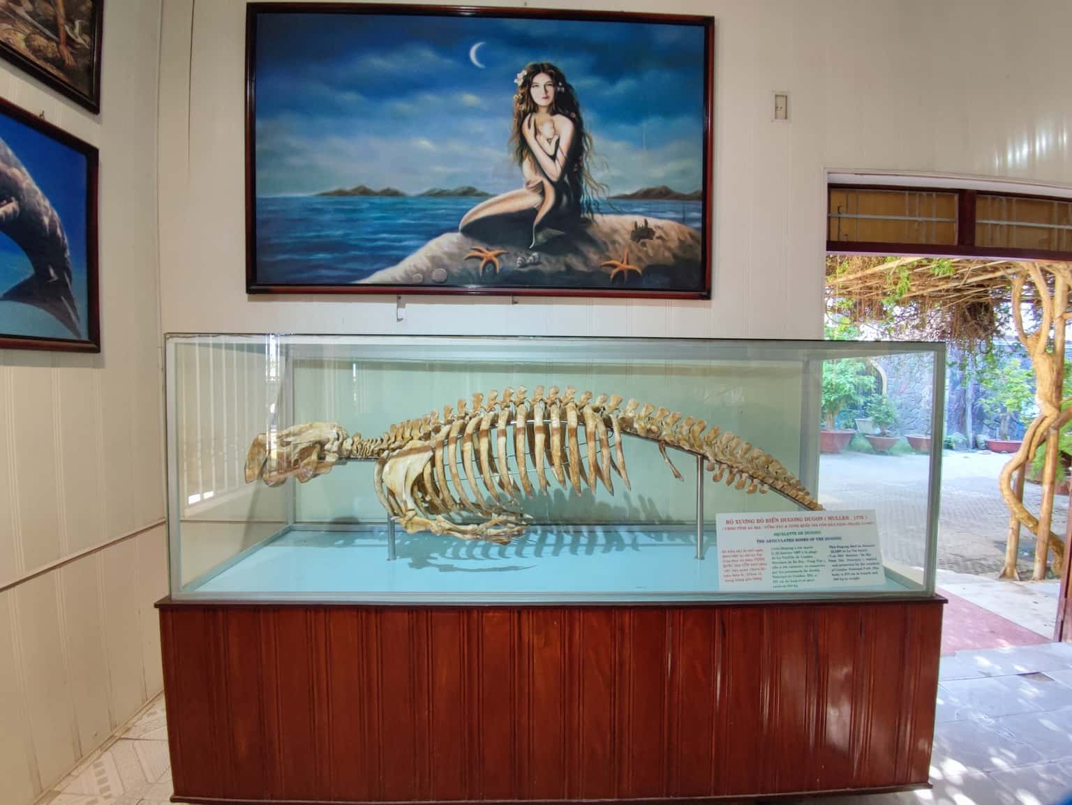 vien hai duong hoc nha trang dia diem du lich nha trang attcxr25