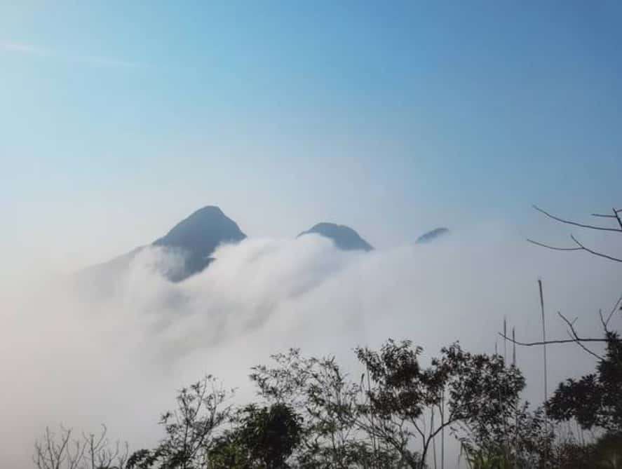 dinh rung rinh tam dao vinh phuc