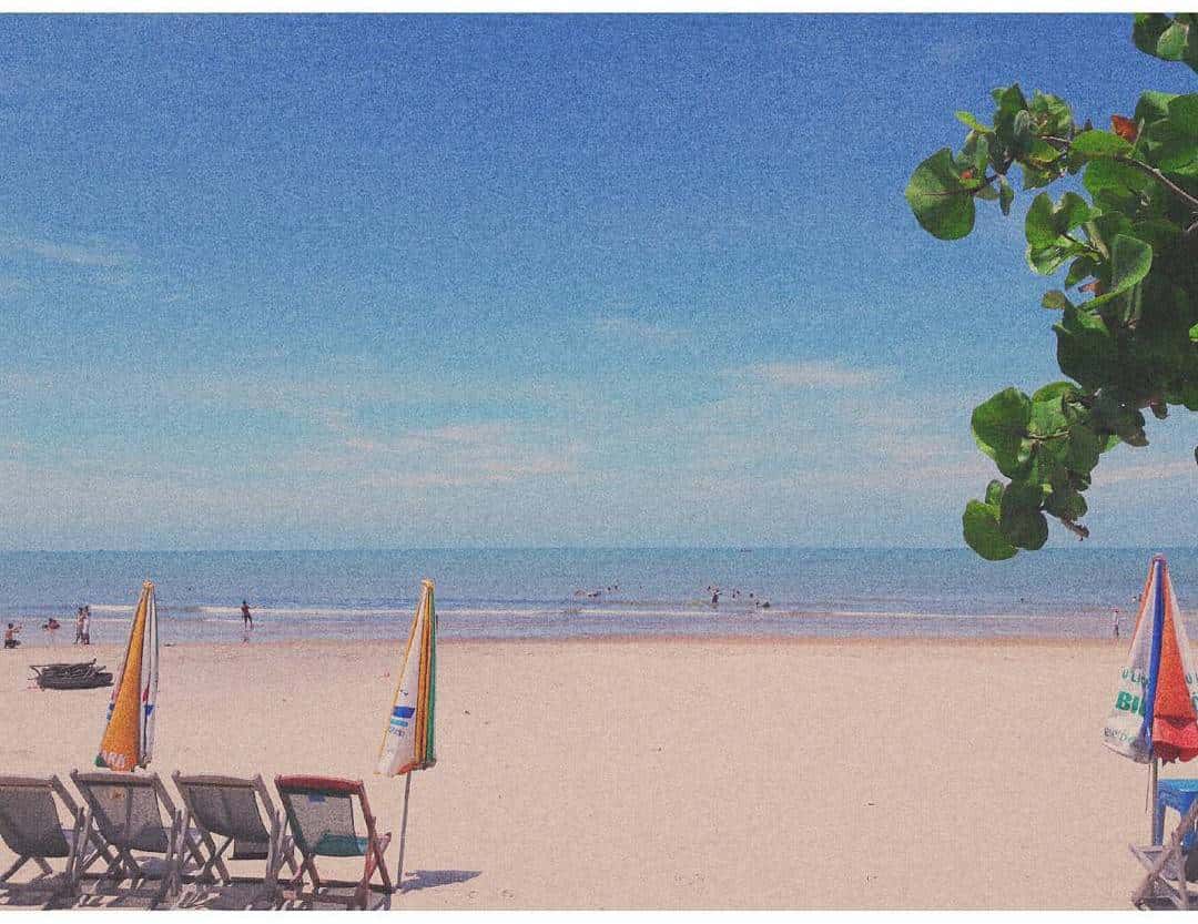 khu du lich gio bien dia diem du lich vung tau attvut12