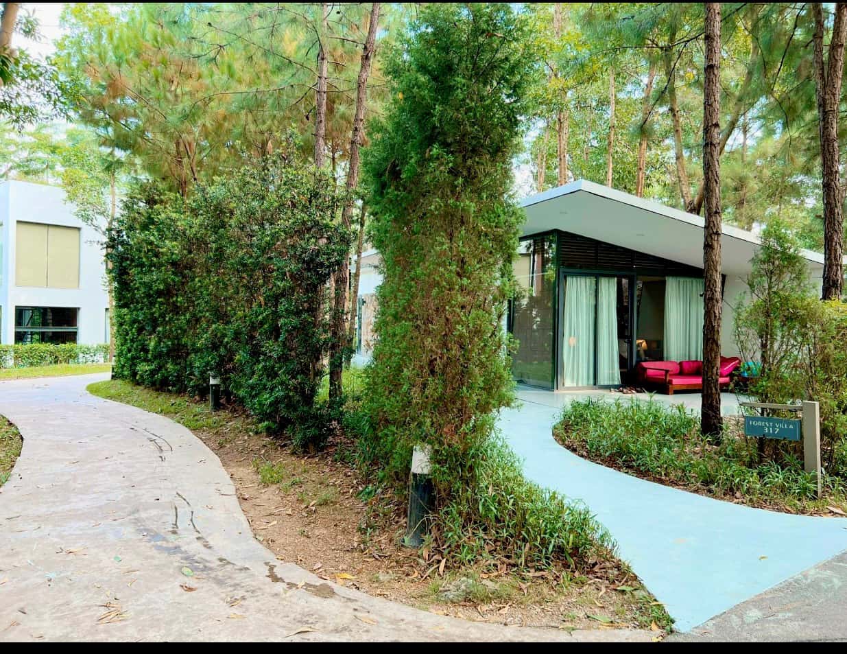 Spacious garden