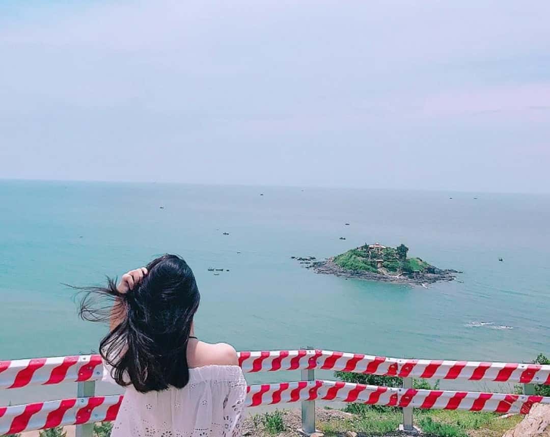 justfly doi con heo vung tau