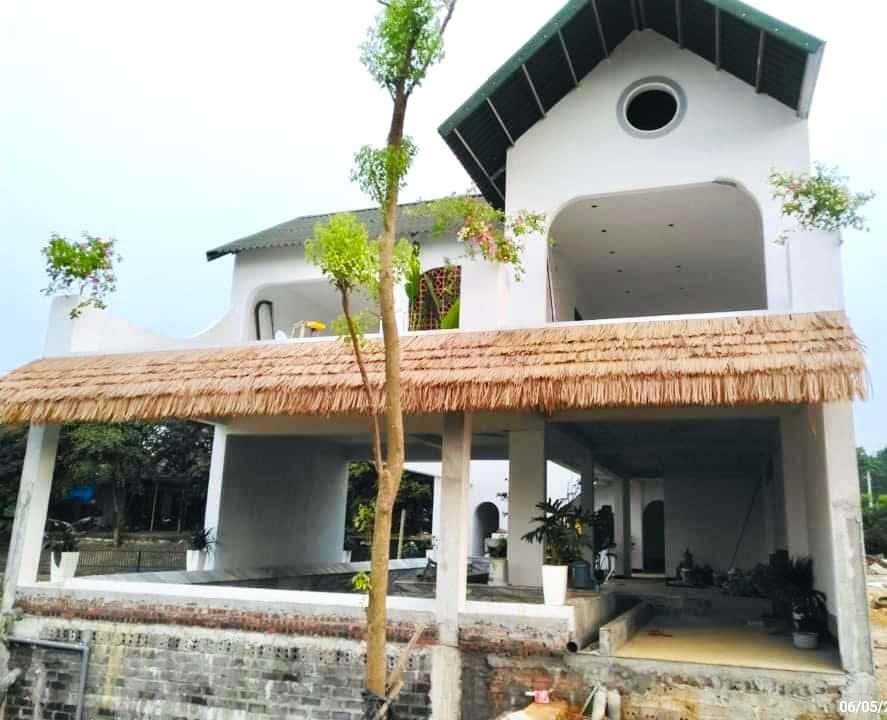 justfly ostrich house ba vi 