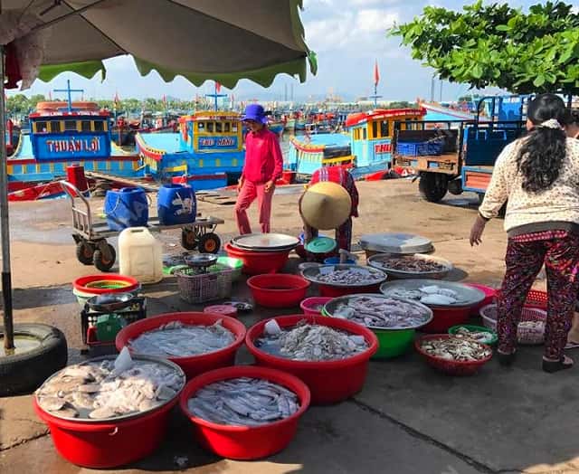 cho ben dinh dia diem du lich vung tau attvut63