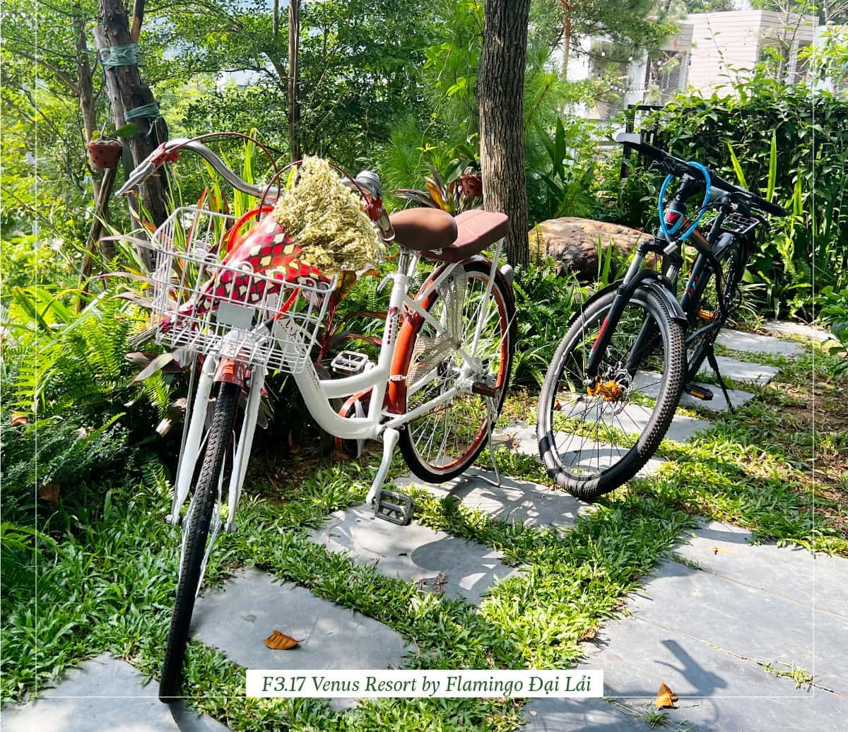 Xe đạp 