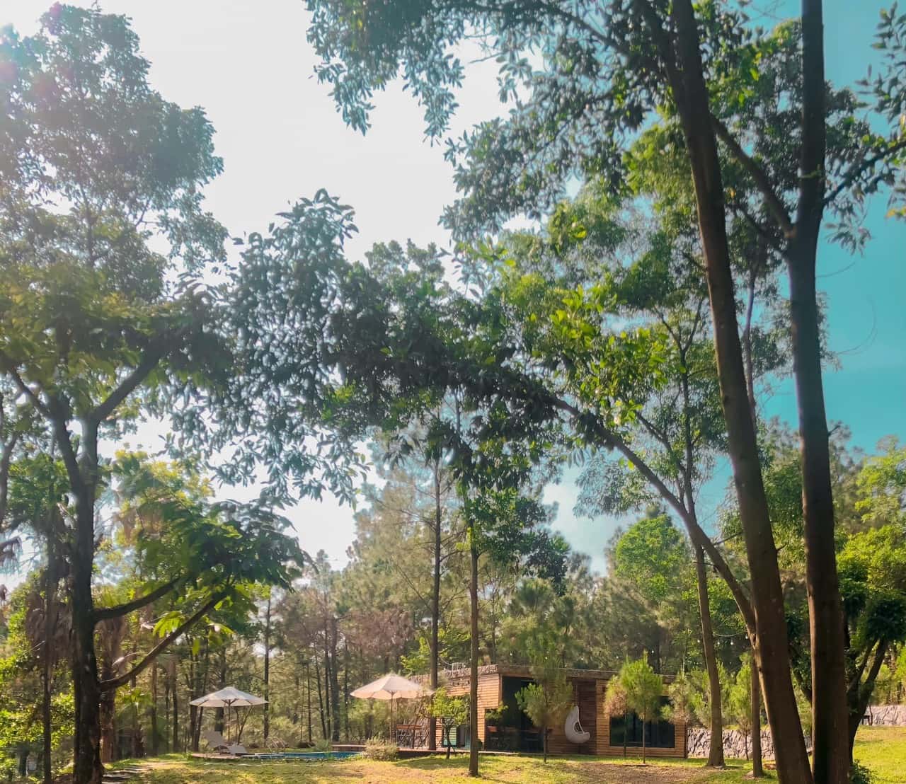 Toa House, Sóc Sơn () — photo 6