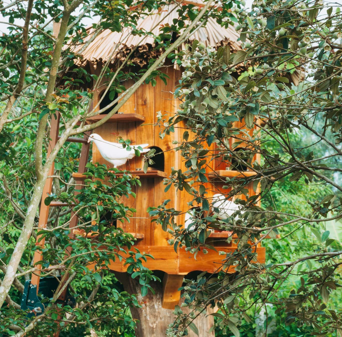 湖畔の家（U Lesa Retreat）— Lâm Trường、Sóc Sơn