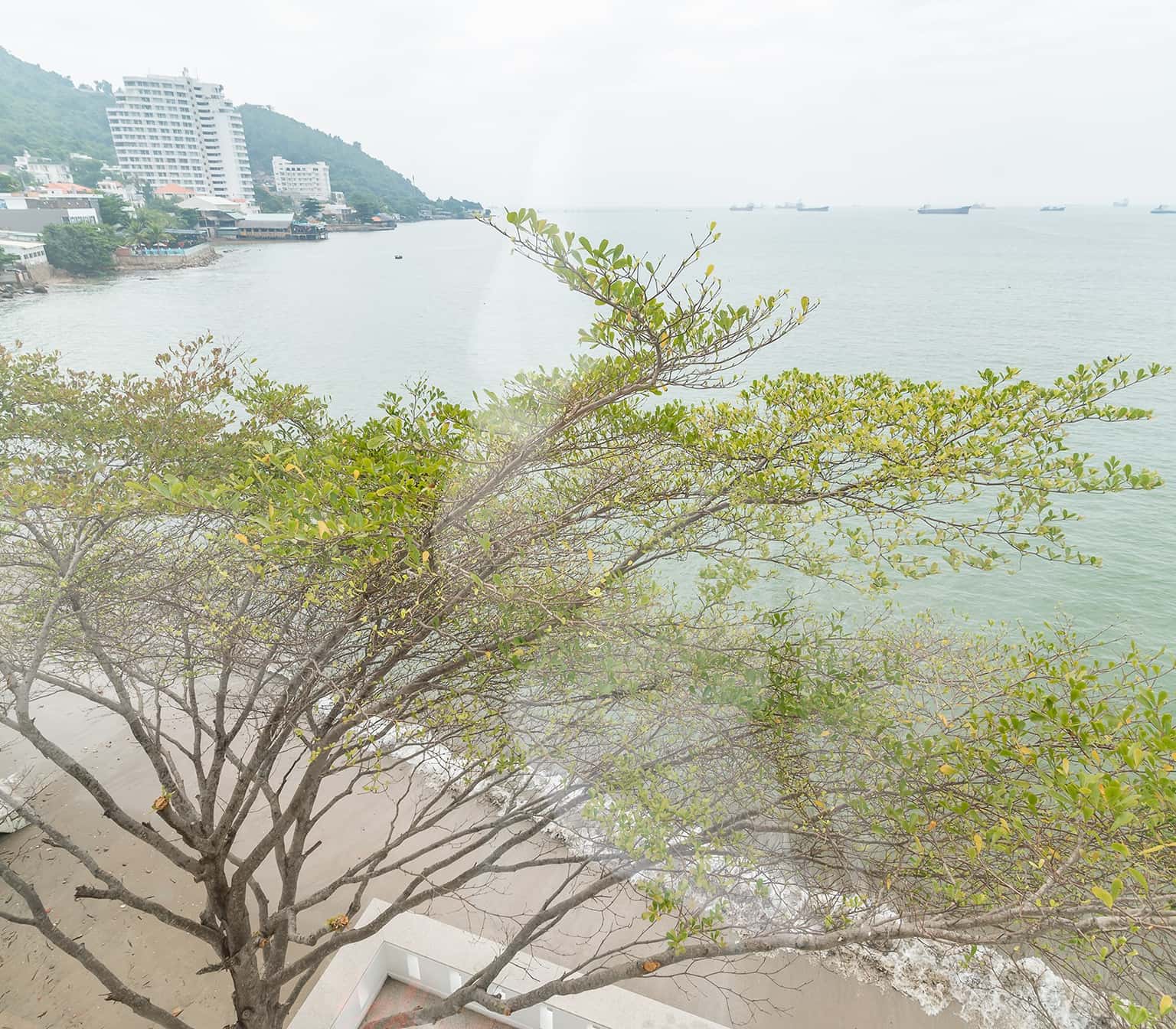 Palm Villa 21 sát biển, số 71A Trần Phú, Vũng Tàu