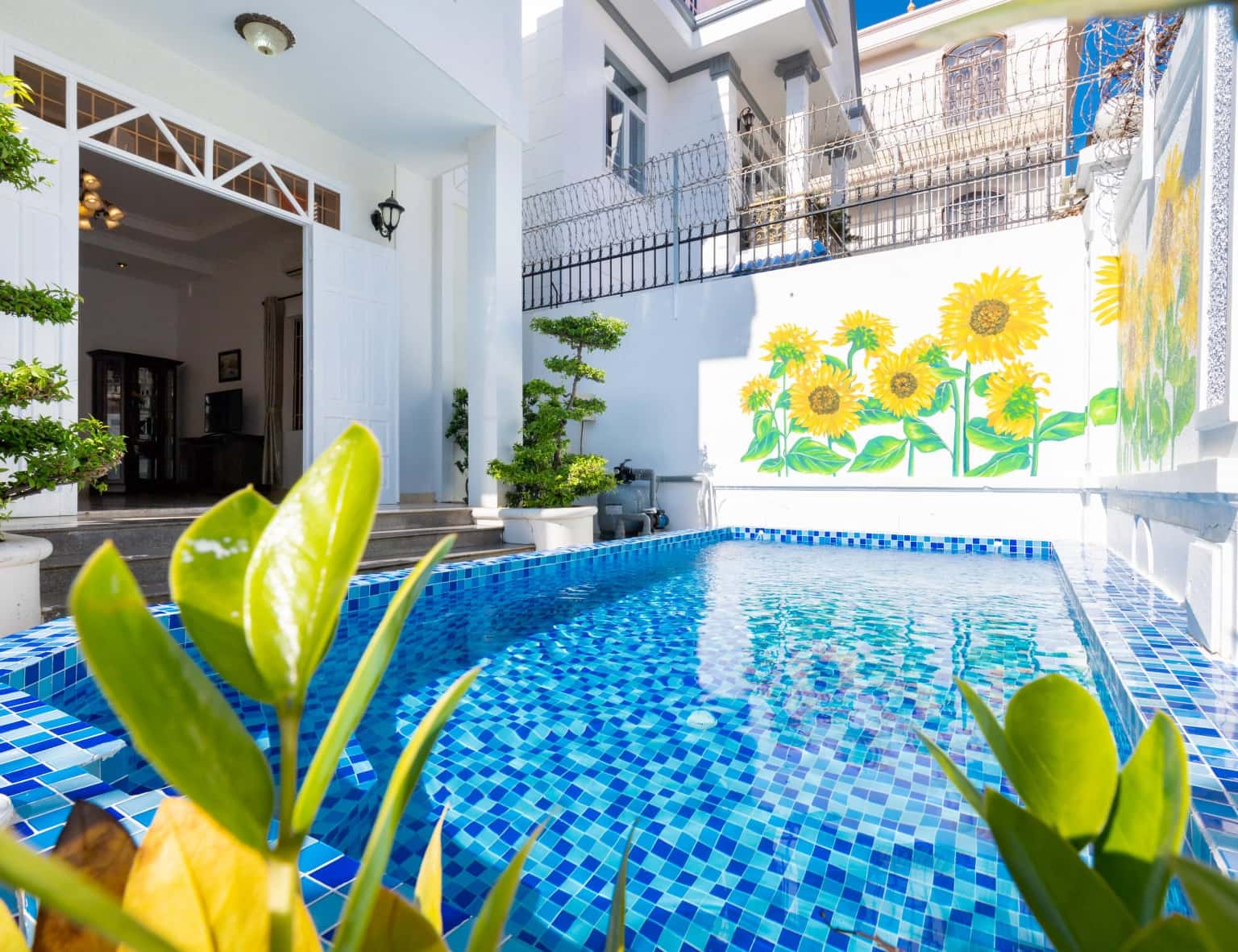 Palm Villa 3, số 10D Lạc Long Quân, Vũng Tàu