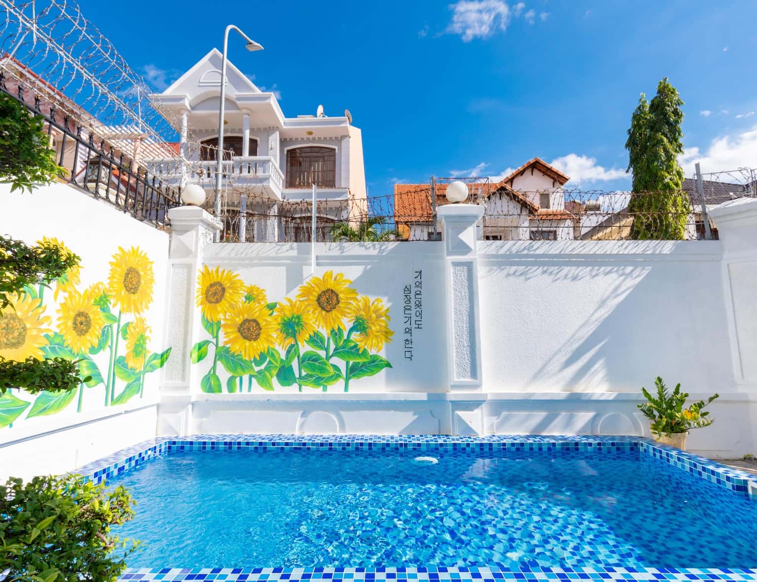 Palm Villa 3, số 10D Lạc Long Quân, Vũng Tàu