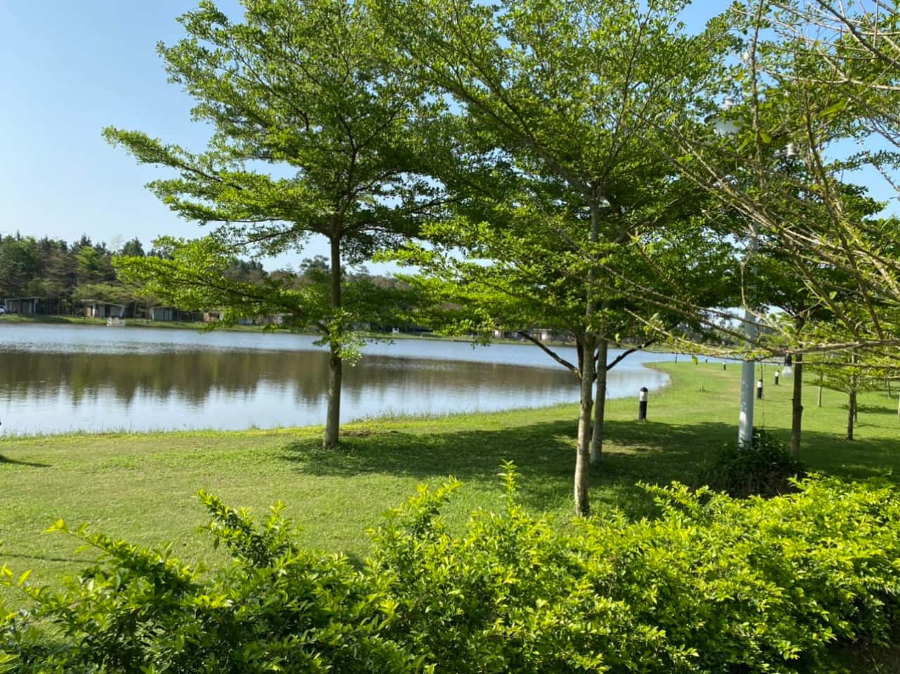Villa A11, Flamingo Đại Lải