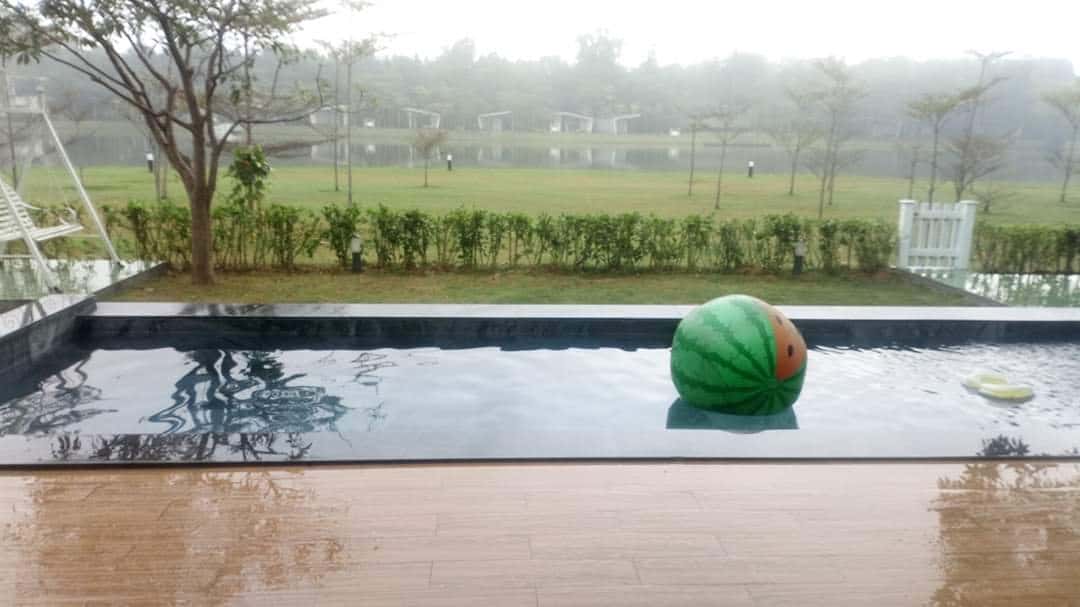 Villa A8A, Flamingo Đại Lải