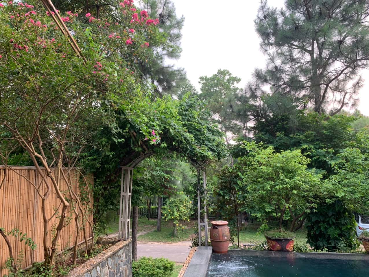justfly-c15-villa-flamingo-dai-lai-vinh-phuc