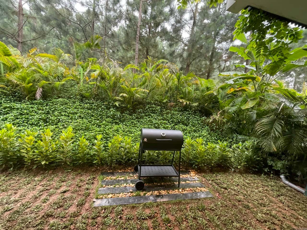 gv-27-flamingo-dai-lai