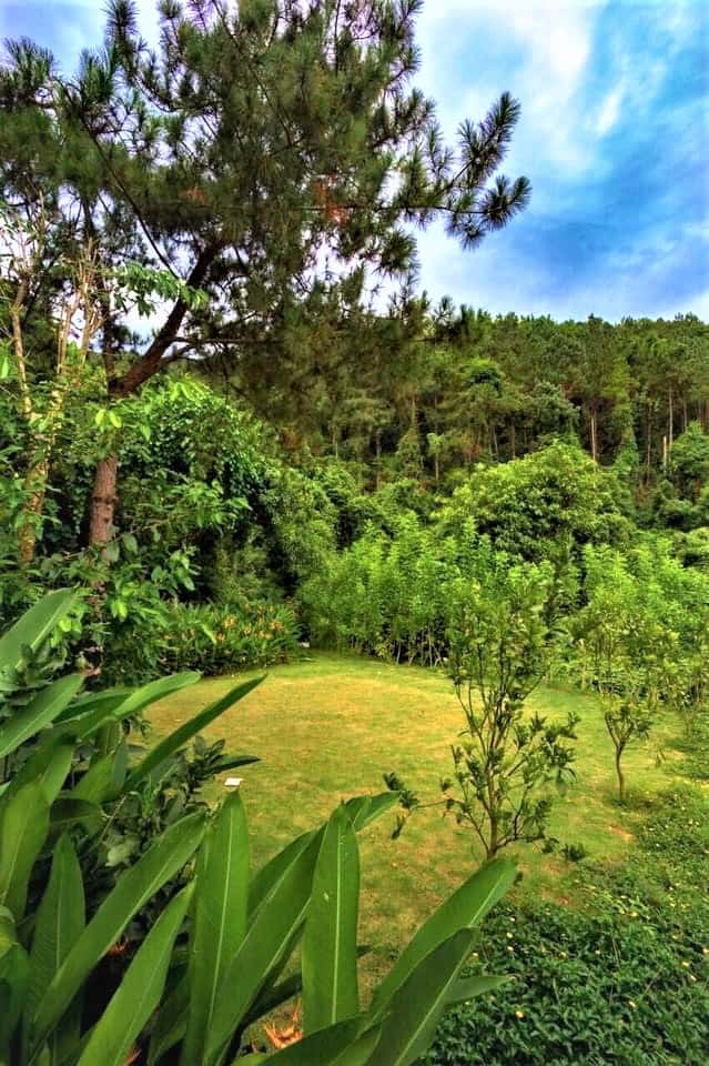 a20 villa san golf tam dao