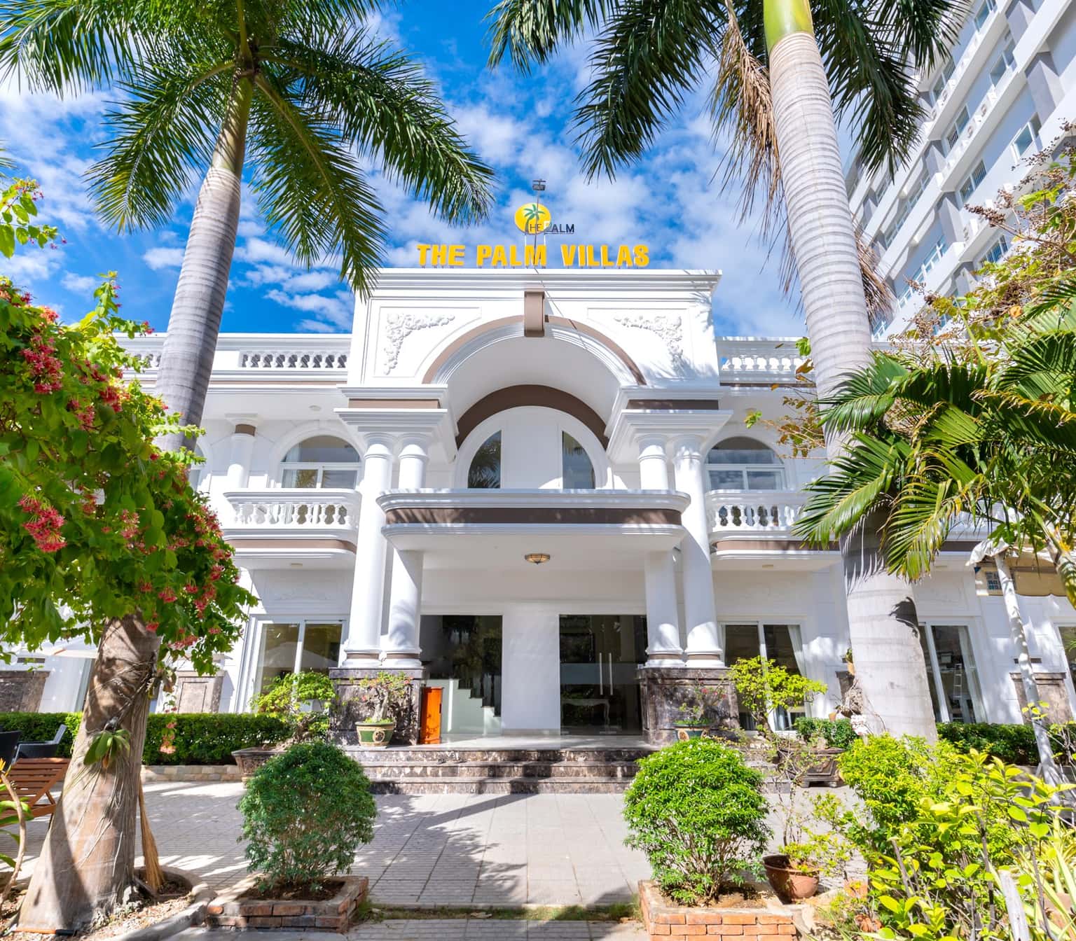 justfly palm 18 vung tau