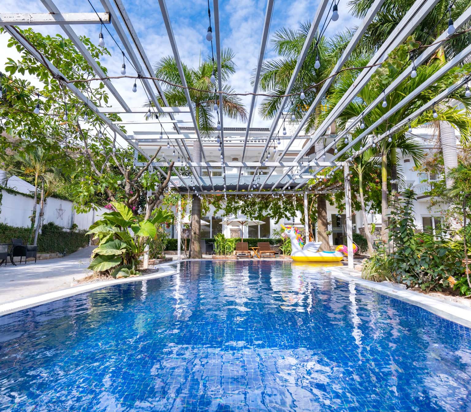 justfly palm 18 vung tau